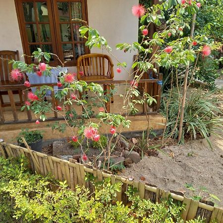 סנגיגי Arnel Bungalows מראה חיצוני תמונה