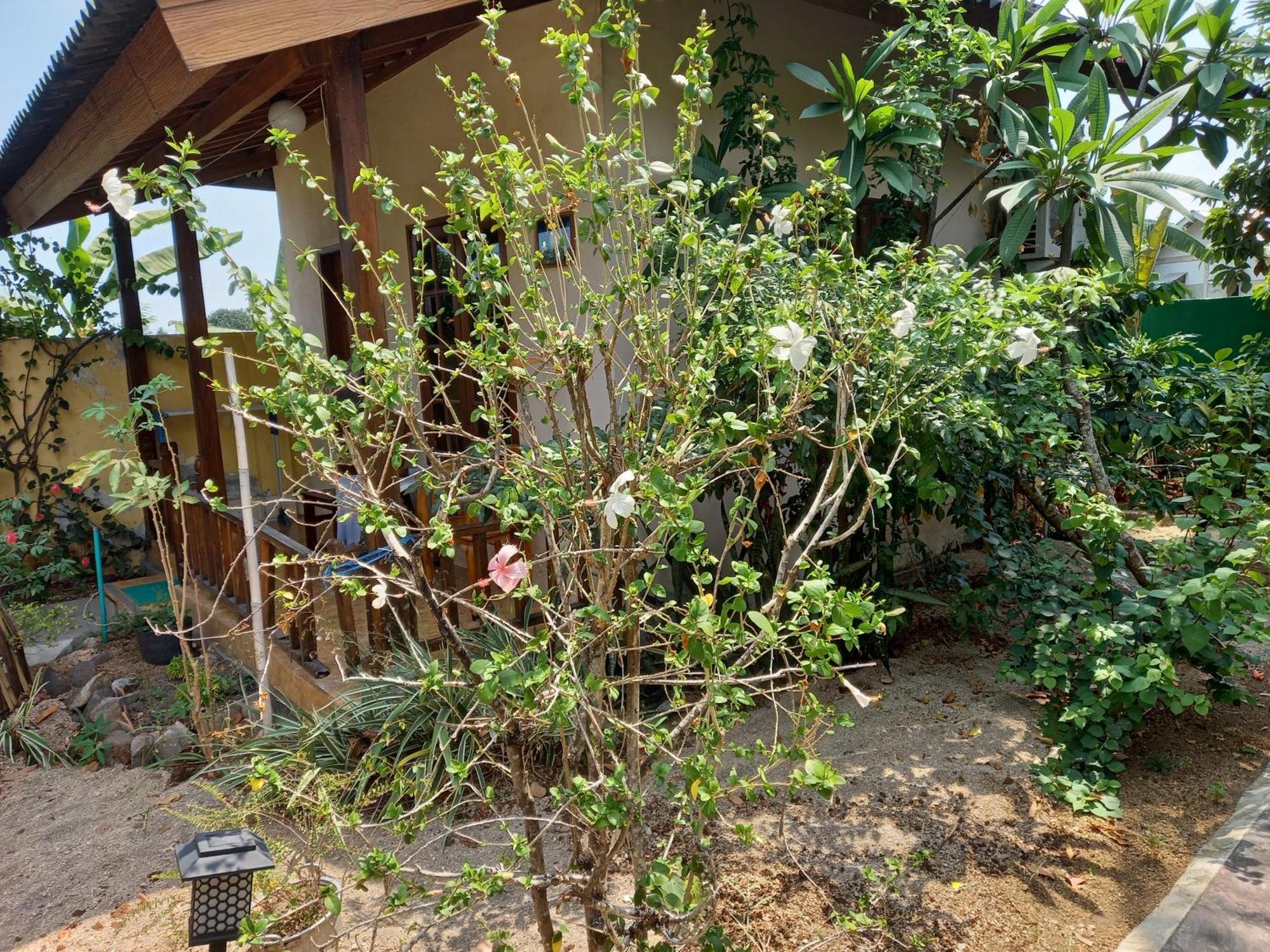סנגיגי Arnel Bungalows מראה חיצוני תמונה